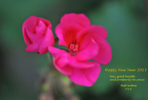 New year card 2013-p&b