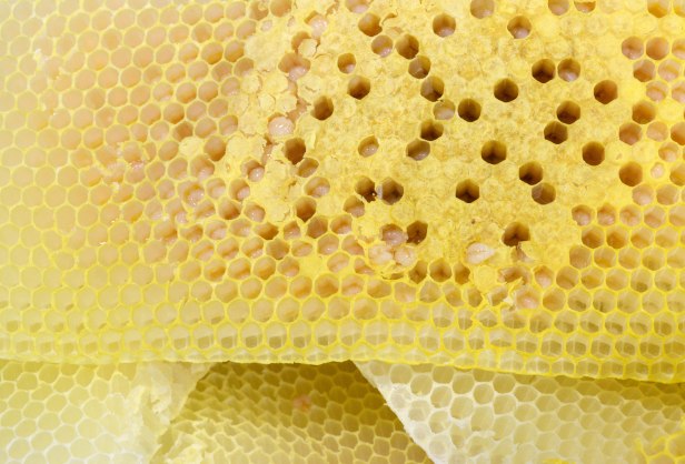 Burr combs I cut off from the bottom of the foundations.