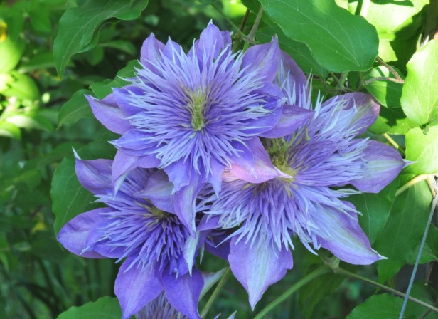 Crystal Fountain close up