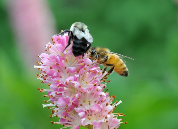 Here, they're sharing again.