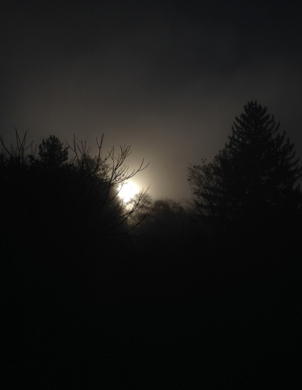 The sun is peaking out behind thick fog at 8:30 am