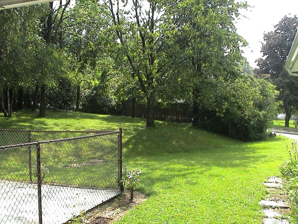 When I first moved here