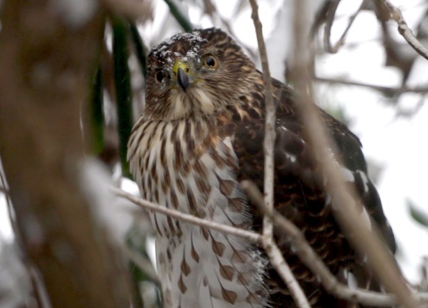 Looking around for the next one