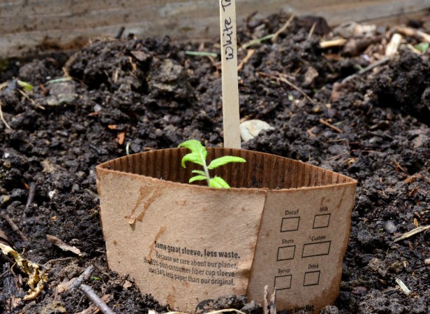 Recycle after recycle