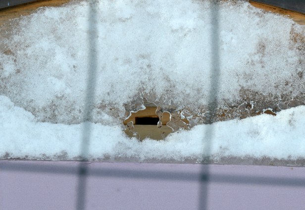 Up close on one of the hives.  Heat from the bees has opened it.