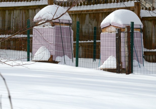 After the last snow finally reached the landing