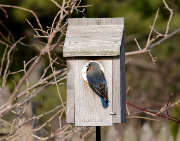 Soon to be a new Mom