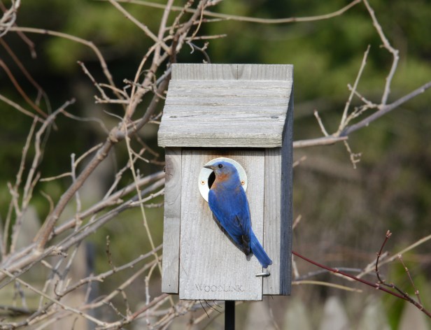 Soon to be a new Dad