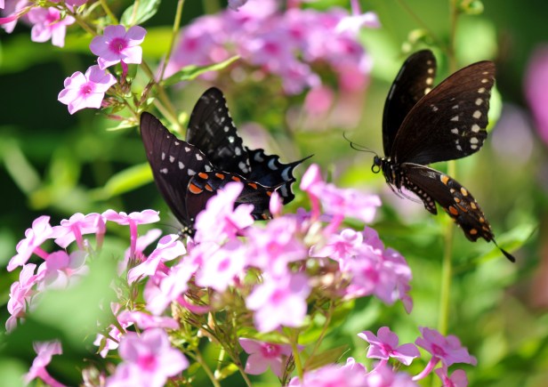 Moving to another one