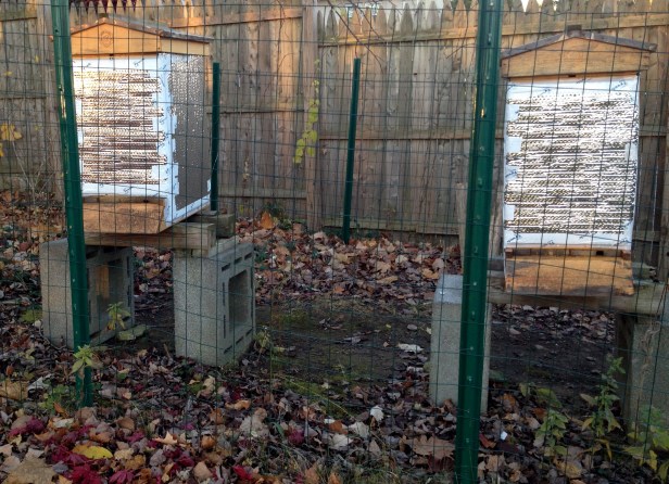 This year's insulation using construction grade insulation wraparound 