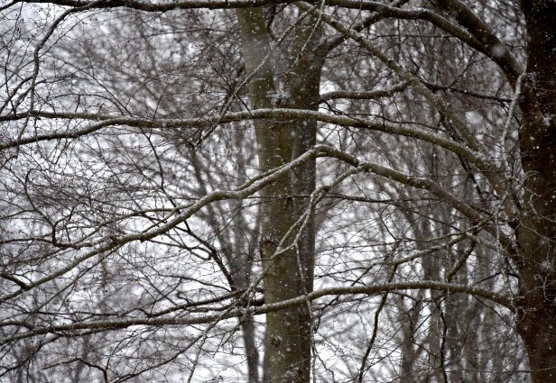 Light snow on and off all day