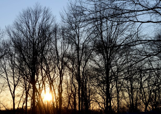 A new dawn, a new day, and a new year