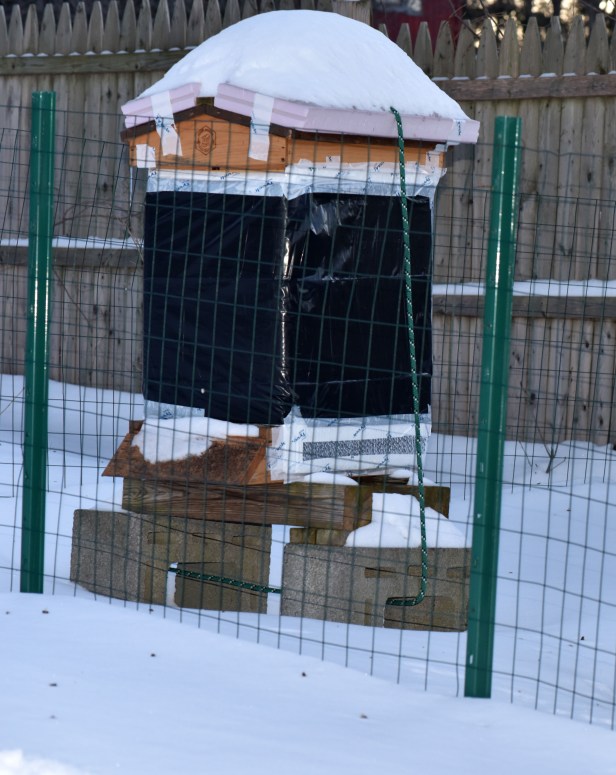 With snow piled up on top and on the ground.  The black spots on the snow in front of the hive are dead bees