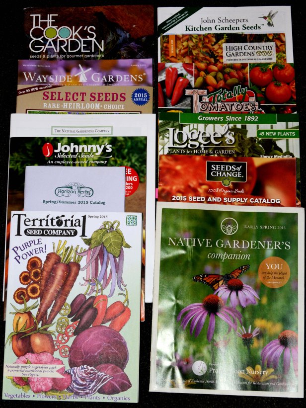 Some interesting plant and seed catalogs