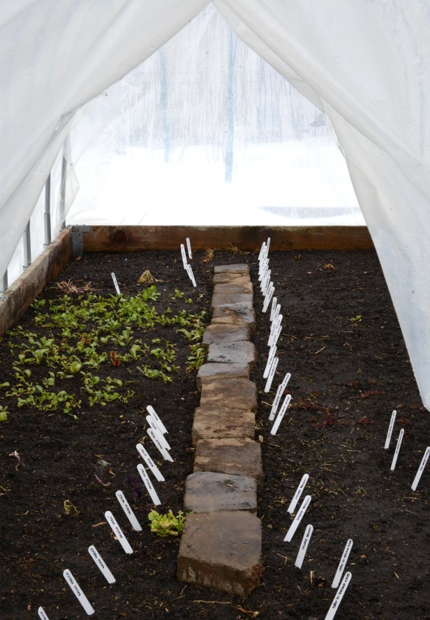 Ready to close up again. See you in a couple of weeks or when the weather allows.