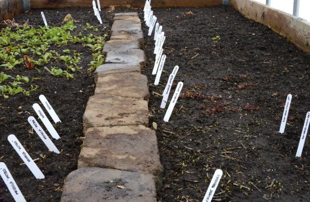 After cleaning up, sowing new seeds and watering.