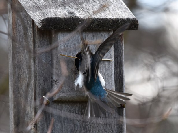 It's a little too long to get it in.