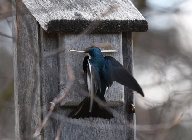 Now what? Must be a way to get this stick in.