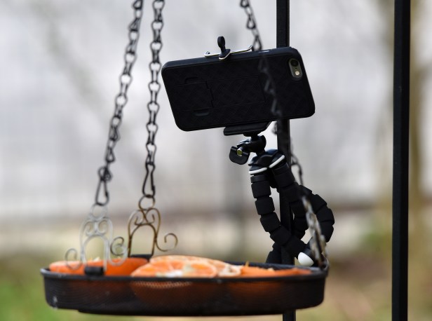 Phone tripod wrapped around the pole and the video turned on and off by remote control