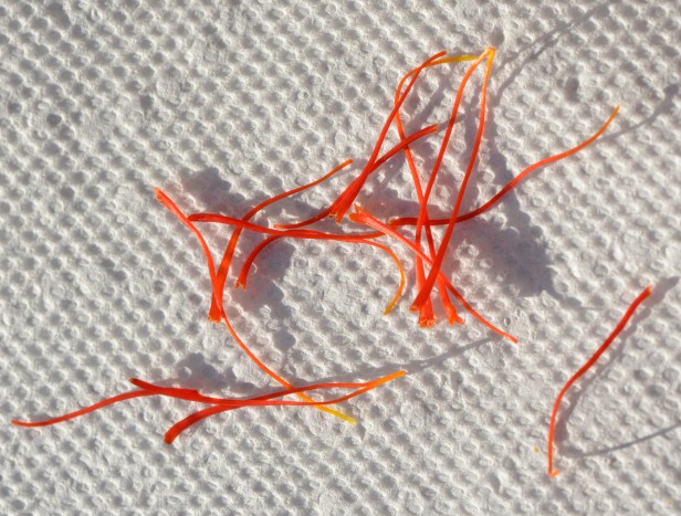 Drying threads on paper towel