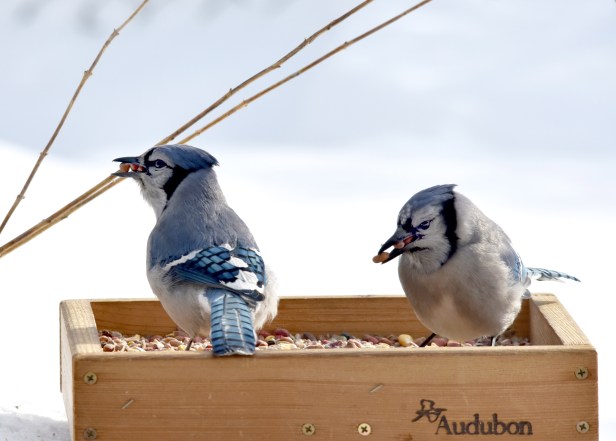 Then packing what they can to stash away