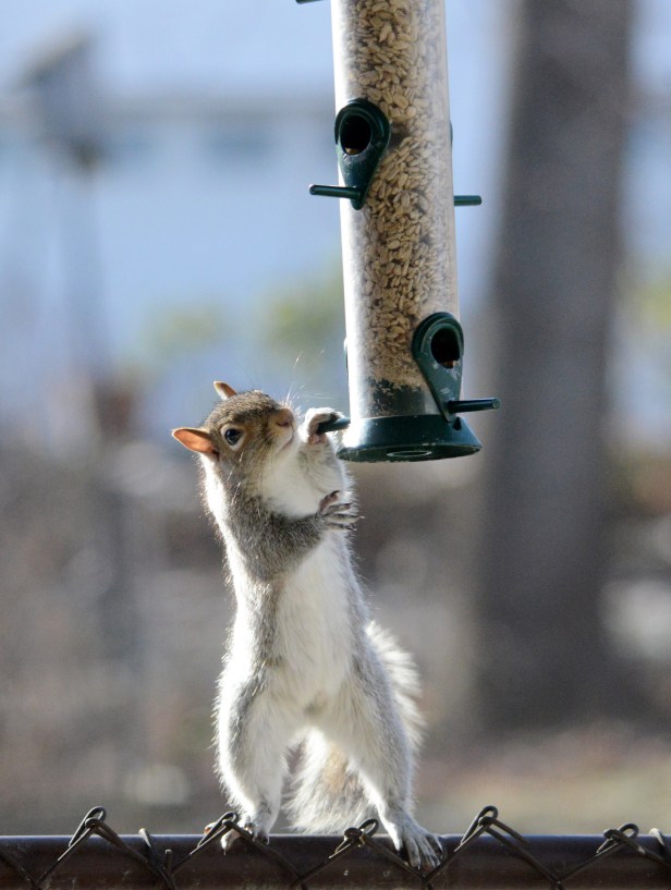 It should be an easier way to eat than this