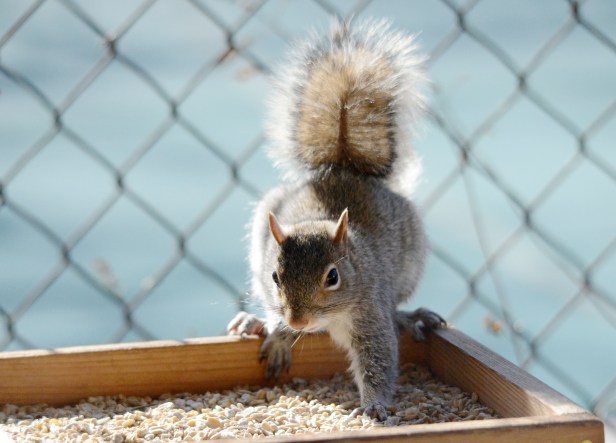 Ha! This is much more comfortable