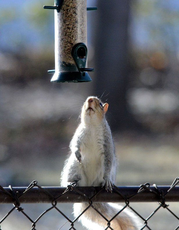 Sniffing and calculating balance