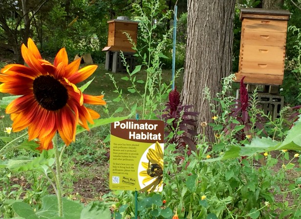 Pollinator Habitat sign from Xerces Society