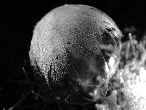 Photo of frozen bubble