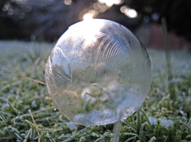Photo of frozen bubble