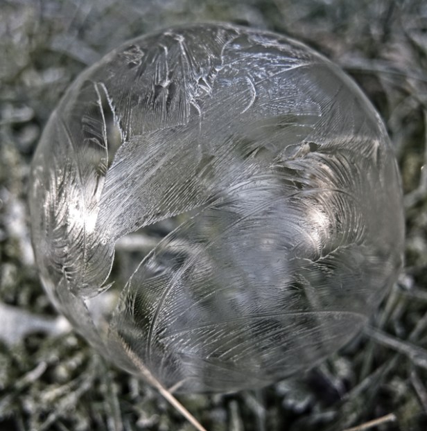 Photo of frozen bubble