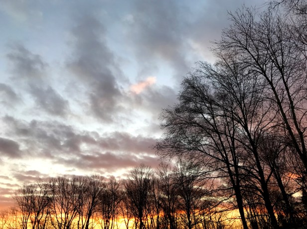 At 7:30 am, the golden light start pushing out the cloud