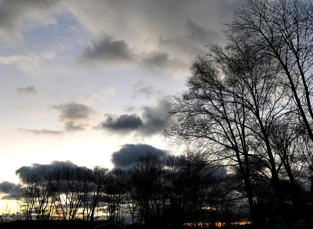 The sun peeking through the wood at 7:00 am, under a moody sky.