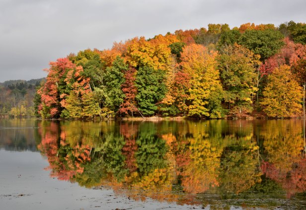 Reservoir-autumn