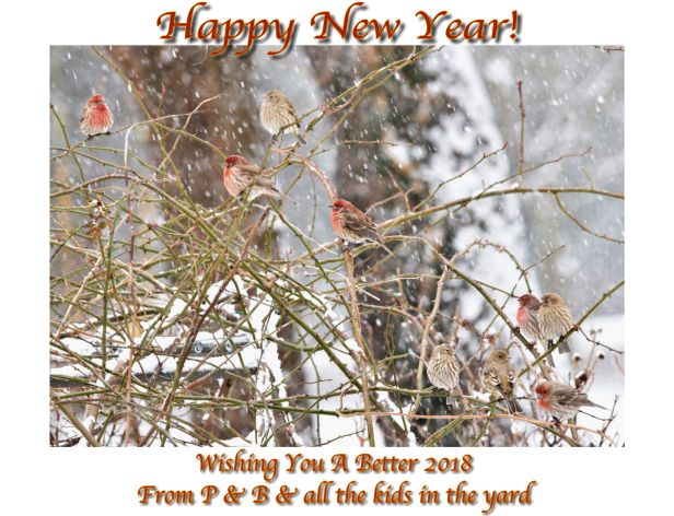 Happy New Year-Blog.jpeg