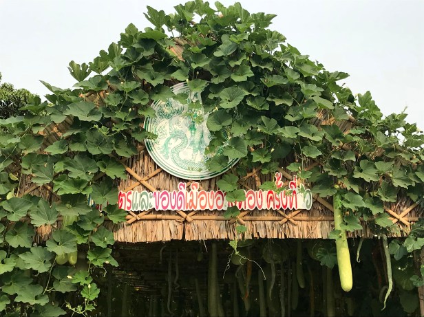 Melon tunnel-outside